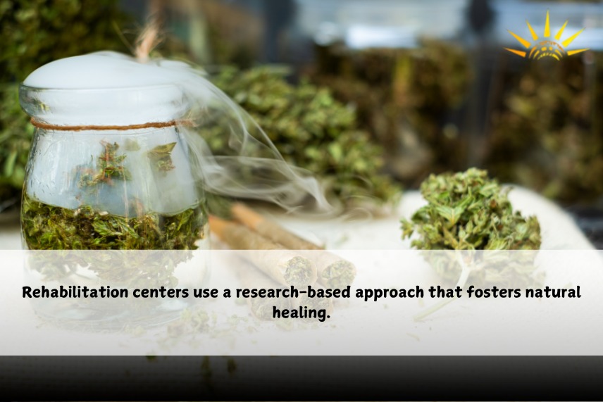 Nasha Mukti Kendra Vikaspuri